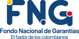 FNG, Fondo Nacional de Garantías